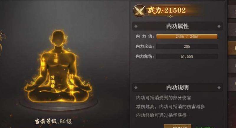 无内功传奇私服攻略：角色、技能、装备和团队合作